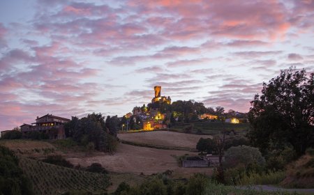 Castello di Cigognola: vendemmia 2020 con l'anima della startup