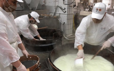 Mozzarella di Bufala Dop: un inizio 2020 positivo
