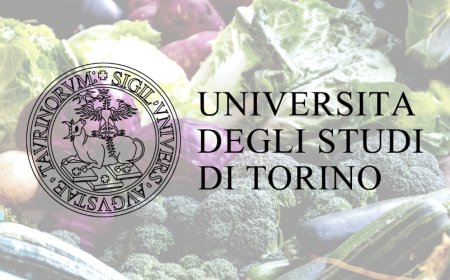 L'Università di Torino riconosciuta in Europa punto di riferimento per la formazione e istruzione nel food