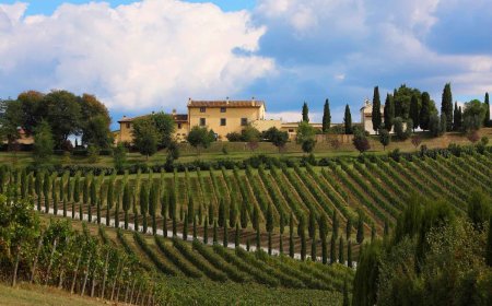 Cantine Leonardo Da Vinci: il metodo diventa sempre più vincente