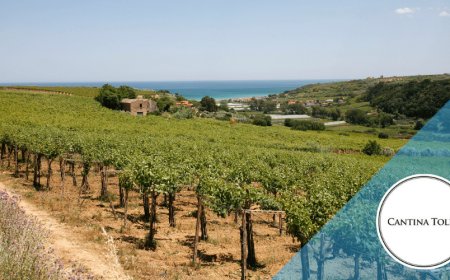 Cantina Tollo proclamata miglior cantina d'Italia a Mundus Vini