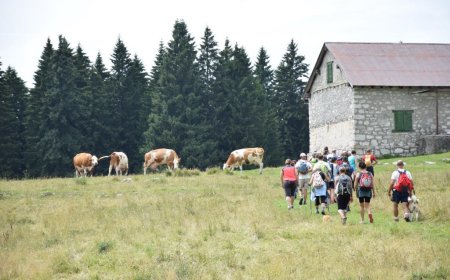Aperitivo del Malghese: un appuntamento con l'enogastronomia e la natura