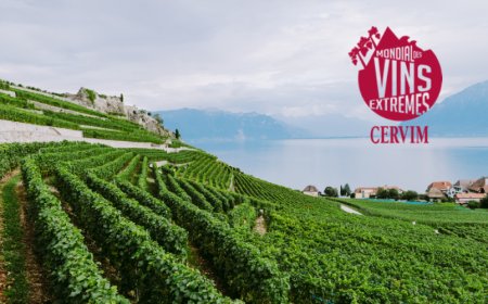 Vino: incetta di premi per l'Italia al Mondiale dei Vini Estremi