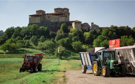 La passata "Sul Campo" di Mutti: trasforma il pomodoro appena colto proprio sul campo