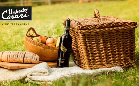 Umberto Cesari celebra la vendemmia con tour in vigna e degustazioni