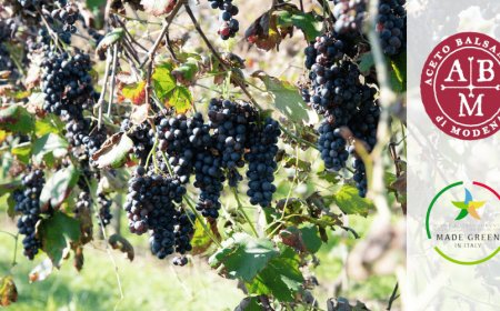 Aceto Balsamico IGP: al via l'iter per l'ottenimento del marchio "Made Green in Italy"
