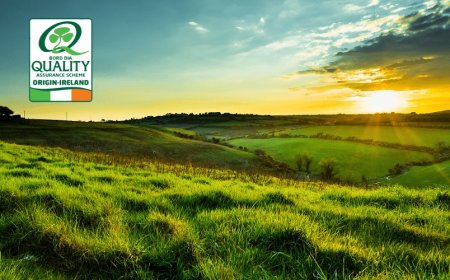 Origin Green: come la carne irlandese risponde alla sfida della sostenibilità