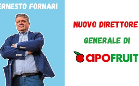 Ernesto Fornari è il nuovo Direttore Generale del Gruppo Apofruit