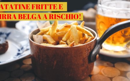 Patatine fritte e birra belga a rischio: i cambiamenti climatici minacciano le specialità nazionali