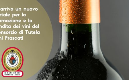 In arrivo un nuovo portale per la promozione e la vendita dei vini del Consorzio di Tutela Vini Frascati
