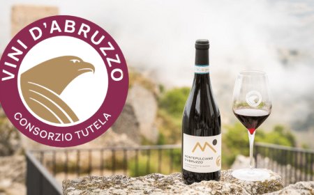 Consorzio Tutela Vini d’Abruzzo torna sui mercati esteri e riparte dal Nord Europa
