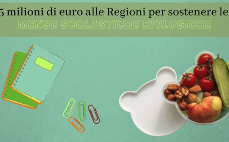 5 milioni di euro alle Regioni per sostenere le mense scolastiche biologiche