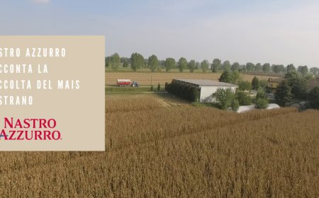 Nastro Azzurro racconta la raccolta del Mais Nostrano