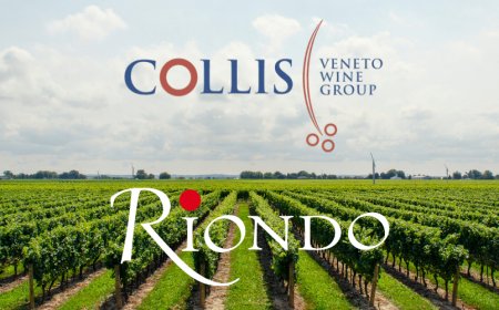 Collis Veneto Wine Group e Cantine Riondo: Manuela Popolizio di Network PR curerà le media relations