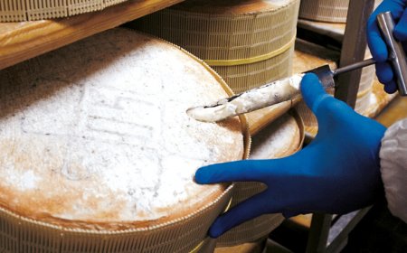 Il Gorgonzola tutelato dalla OMPI