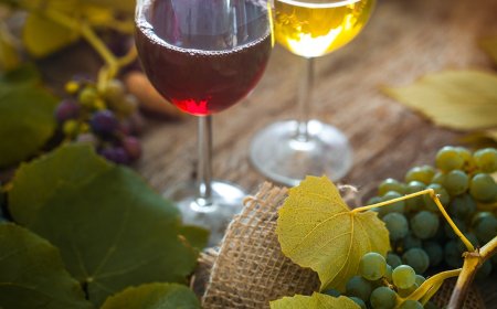 Contrassegni vini a Docg e Doc: firmato il decreto. Prosegue l'attuazione del Testo Unico del Vino