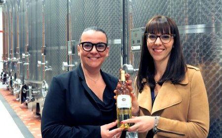 Maculan ottiene il Passaporto Ambientale grazie ai vitigni resistenti