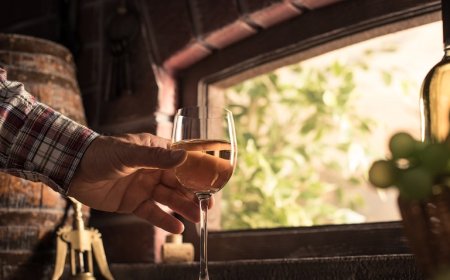 Wine Intelligence: come si comportano i consumatori nel mondo?