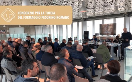 Pecorino Romano Dop: il Disciplinare cambia per produrre ed esportare 3 nuove tipologie