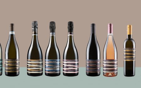 Famiglia Olivini: i colori e le forme del vino