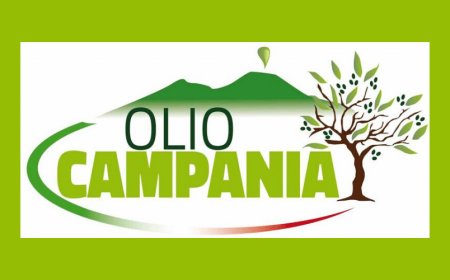 L'Olio Campania punta al riconoscimento IGP