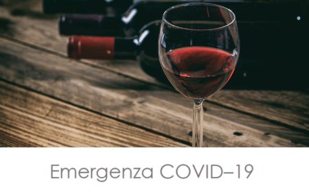 Report Ismea su Covid-19. Parte 3: la filiera del vino