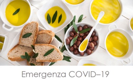 Report Ismea su Covid-19. Parte 4: la filiera dell'olio
