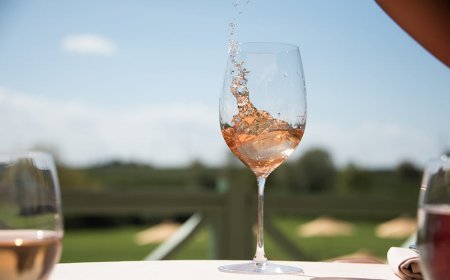 Chiaretto di Bardolino: balzo in avanti del 21% nel primo trimestre 2020