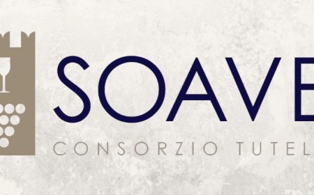 Soave: l'analisi sulla fertilità delle gemme per prevedere la prossima Vendemmia