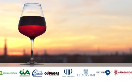 La filiera del vino chiede al ministro Bellanova un confronto urgente