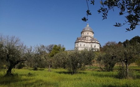 Ercole Olivario: viaggio virtuale in Italia alla scoperta degli oli finalisti del concorso nazionale