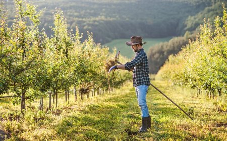 Agrijob e Jobincountry: ecco dove trovare lavoro in agricoltura