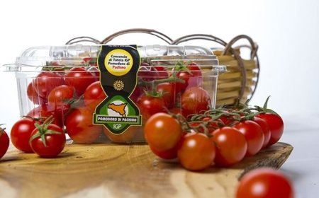 Il Pomodoro Pachino Igp adotta la tecnologia Blockchain