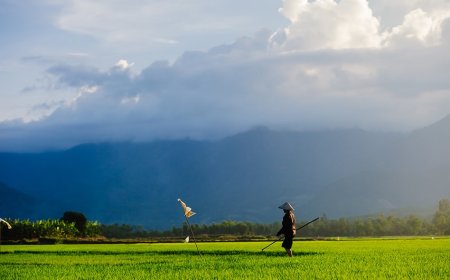 Coldiretti: è scoppiata la guerra del riso