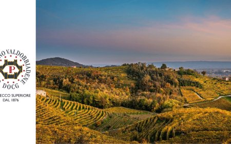 L'annata migliore di sempre per Conegliano Valdobbiadene Prosecco DOCG
