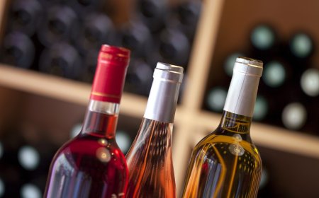 Nel post Covid i consumi di vino saranno quelli di prima: l'indagine Vinitaly-Nomisma Wine Monitor