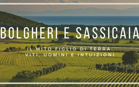 Bolgheri e Sassicaia: il mito figlio di terra, viti, uomini e intuizioni