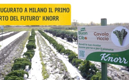Inaugurato a Milano il primo "Orto del Futuro" Knorr