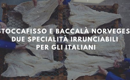 Stoccafisso e baccalà norvegesi, due specialità irrunciabili per gli italiani