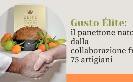 Gusto Élite: il panettone nato dalla collaborazione fra 75 artigiani