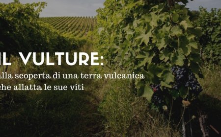 Il Vulture: alla scoperta di una terra vulcanica che allatta le sue viti
