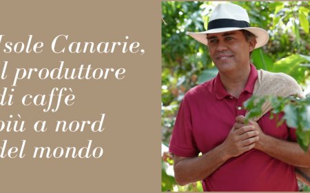 Isole Canarie, il produttore di caffè più a nord del mondo