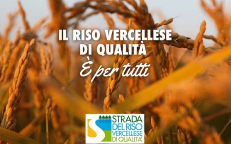 Il Riso vercellese di qualità è per tutti: 3000 Kg in dono alla Croce Rossa piemontese