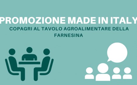 Promozione made in Italy. Copagri al Tavolo Agroalimentare della Farnesina