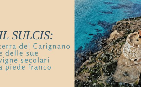 Il Sulcis: terra del Carignano e delle sue vigne secolari a piede franco