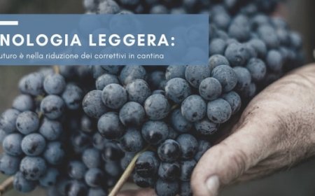 Enologia leggera: il futuro è nella riduzione dei correttivi in cantina