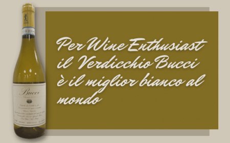 Per Wine Enthusiast il Verdicchio Bucci è il miglior bianco al mondo