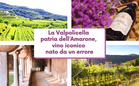 La Valpolicella patria dell’Amarone, vino iconico nato da un errore
