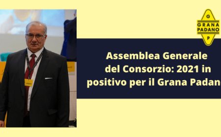 Assemblea Generale del Consorzio: 2021 in positivo per il Grana Padano.