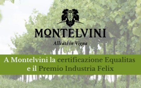 A Montelvini la certificazione Equalitas e il Premio Industria Felix